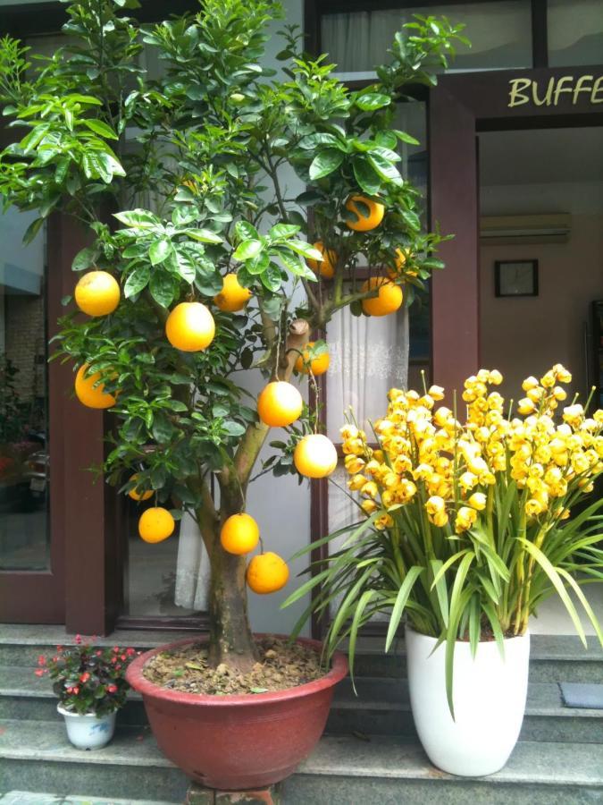 Thien Anh Hotel Hai Phong Exterior foto